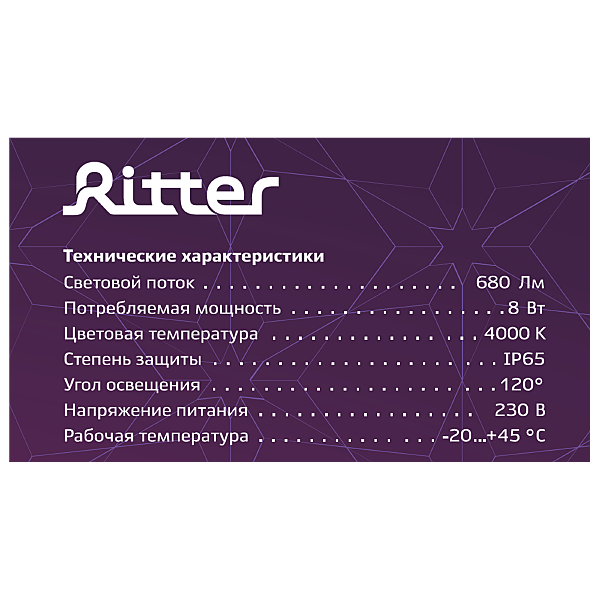 Настенный светильник Ritter 56020 3